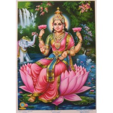 Sri Kamala Lakshmi
